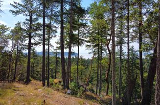 Lot 41 Wood Bay Ridge RD Halfmoon Bay, Halfmoon Bay Apartments for sale, MLS® R2999373