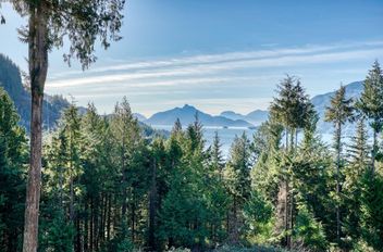 1024 Goat Ridge DR Britannia Beach, Britannia Beach Apartments for sale, MLS® R2954359