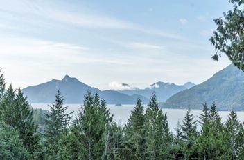 1028 Goat Ridge DR Britannia Beach, Britannia Beach Apartments for sale, MLS® R2955857