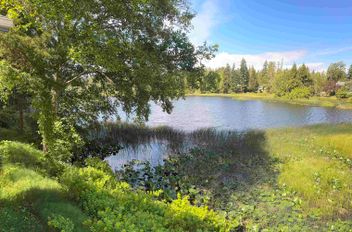 14 12793 Madeira Park RD Madeira Park, Madeira Park Apartments for sale, MLS® R2959247