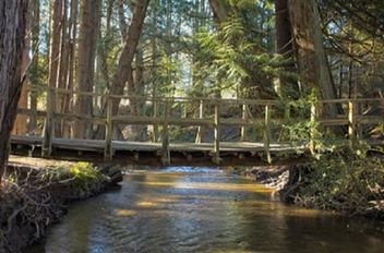 2491 Fulford-Ganges RD Salt Spring Island, Salt Spring Island Apartments for sale, MLS® R2975029