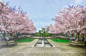 412 618 W 45th AVE Vancouver, Vancouver Apartments for sale, MLS® R3056786