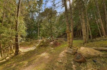 497 Abbott RD Mayne Island, Mayne Island Apartments for sale, MLS® R2996462