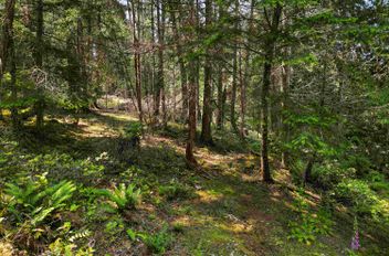 568 Aya Reach RD Mayne Island, Mayne Island Apartments for sale, MLS® R3009388