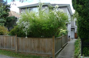 8412 Fremlin ST Vancouver, Vancouver Apartments for sale, MLS® R2982256