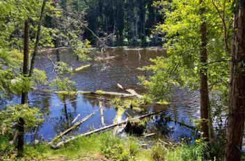 LOT 1 Ellis RD Galiano Island, Galiano Island Apartments for sale, MLS® R2903369