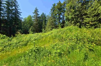 LOT 5 Lower RD Roberts Creek, Roberts Creek Apartments for sale, MLS® R3011934