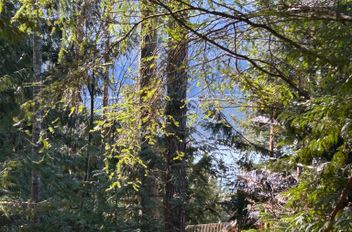 LOT 71 Klahanie DR Sechelt, Sechelt Apartments for sale, MLS® R2975315