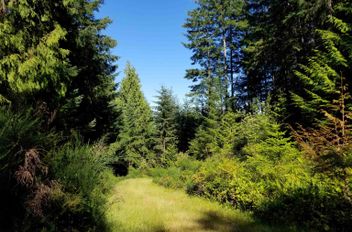 LOT A Lord RD Galiano Island, Galiano Island Apartments for sale, MLS® R3024070