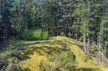 2070 Cape DR Bowen Island, Bowen Island Apartments for sale, MLS® R2998628