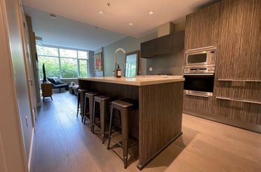 210 181 W 1st AVE Vancouver, Vancouver Apartments for sale, MLS® R3033309