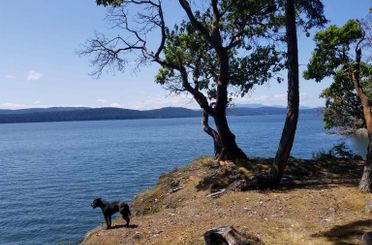 2571 Ridge RD Galiano Island, Galiano Island Apartments for sale, MLS® R3025025