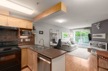 406 189 Ontario PL Vancouver, Vancouver Apartments for sale, MLS® R3010995
