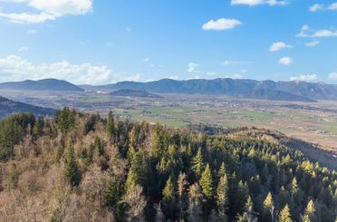 49780 Lookout RD Chilliwack, Chilliwack Apartments for sale, MLS® R2958563