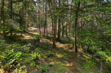 568 Aya Reach RD Mayne Island, Mayne Island Apartments for sale, MLS® R3009388