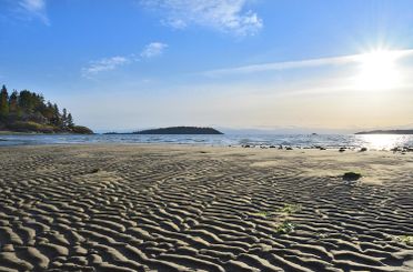 8429 Redrooffs RD Halfmoon Bay, Halfmoon Bay Apartments for sale, MLS® R3000954