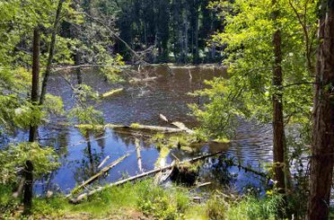 LOT 1 Ellis RD Galiano Island, Galiano Island Apartments for sale, MLS® R2903369