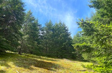 Lot 11 District Lot 71 And 77 Galiano Island, Galiano Island Apartments for sale, MLS® R2871792