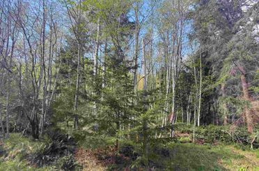 Lot 13 Bodega Beach DR Galiano Island, Galiano Island Apartments for sale, MLS® R2989688