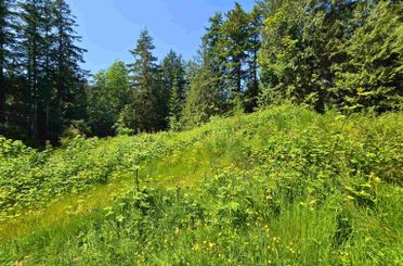 LOT 5 Lower RD Roberts Creek, Roberts Creek Apartments for sale, MLS® R3011934