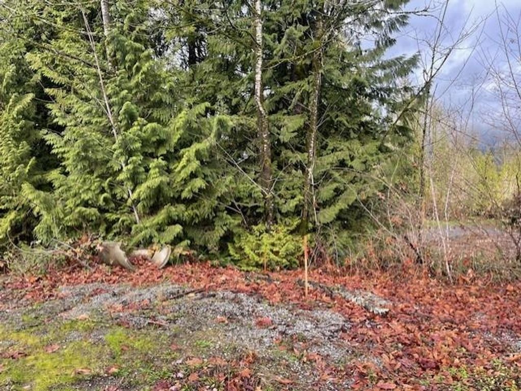 25415 Bosonworth AVE Maple Ridge, Maple Ridge Home for sale, MLS® R2951092