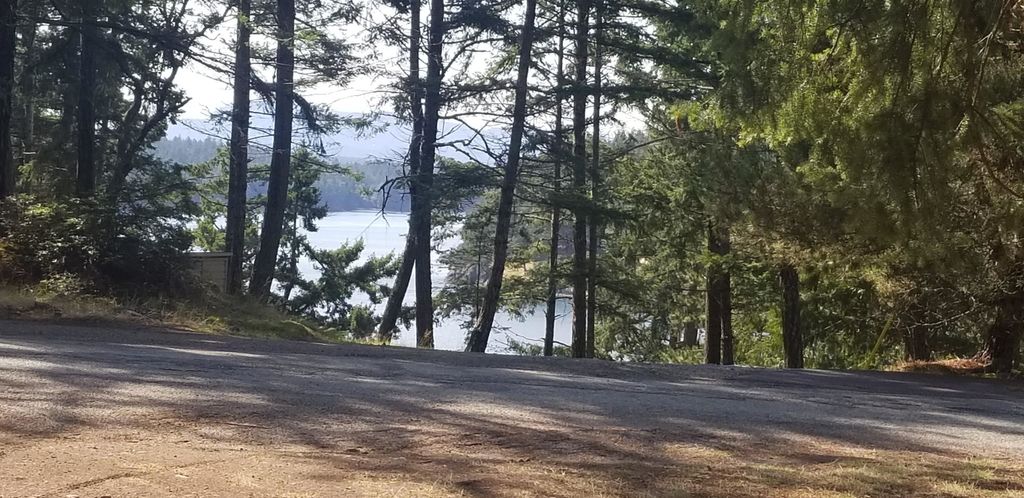 278 Laura Point RD Mayne Island, Mayne Island Real Estate for sale, MLS® R2919395