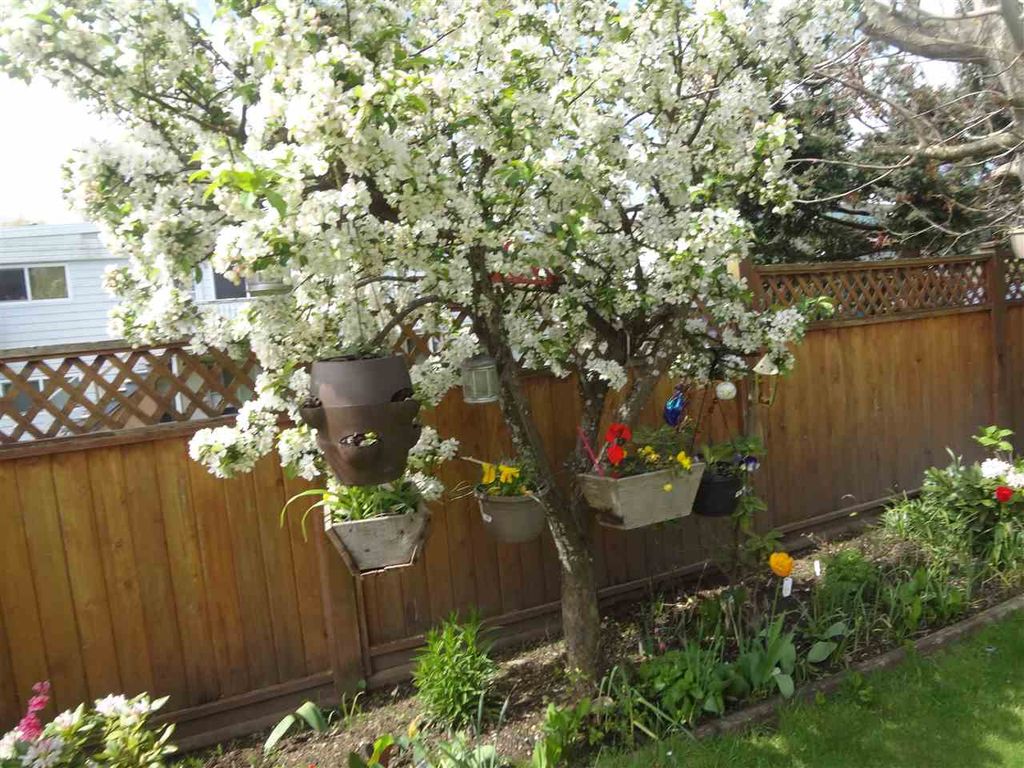 7280 15th AVE BurnabyBurnaby